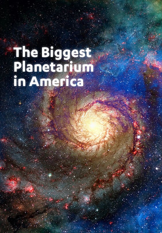 3d4ef5247fe3021a7dad6c60791d7146