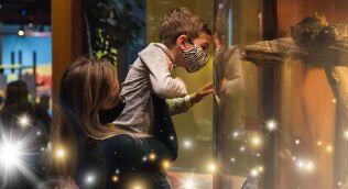 45024645f8f99f4a5c01a7b0a8cb49ff