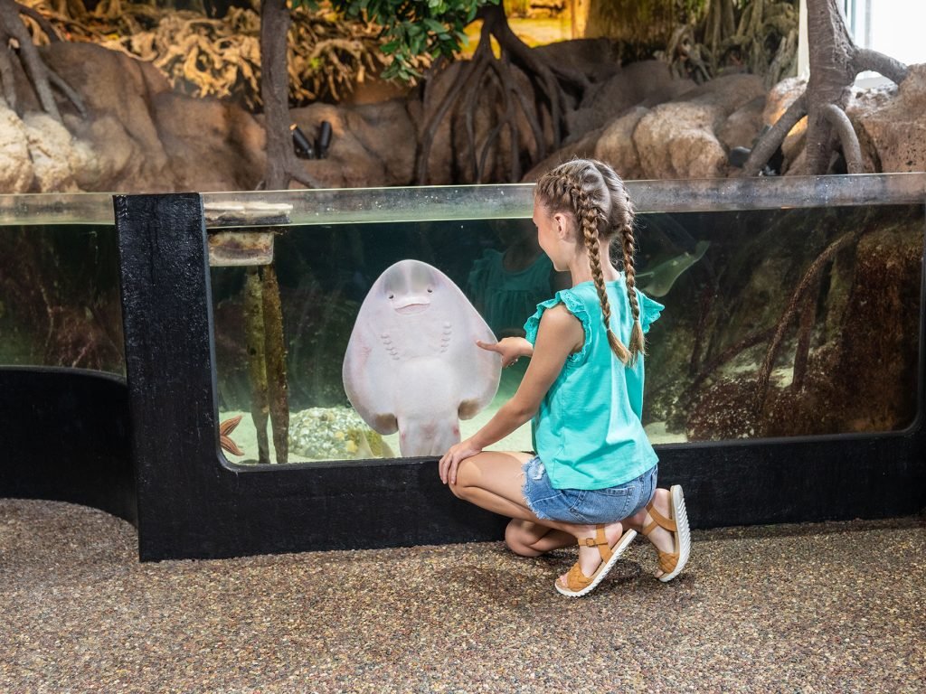 Jenk-07634-1-1024×768-1