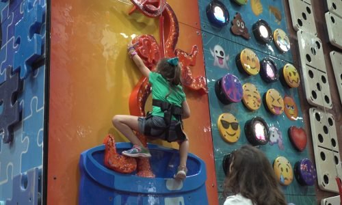 MONKEY-CLIMB-olqzkwpbdei5l0jxl6fxjslkp6mdjpenwqq5iztm7s