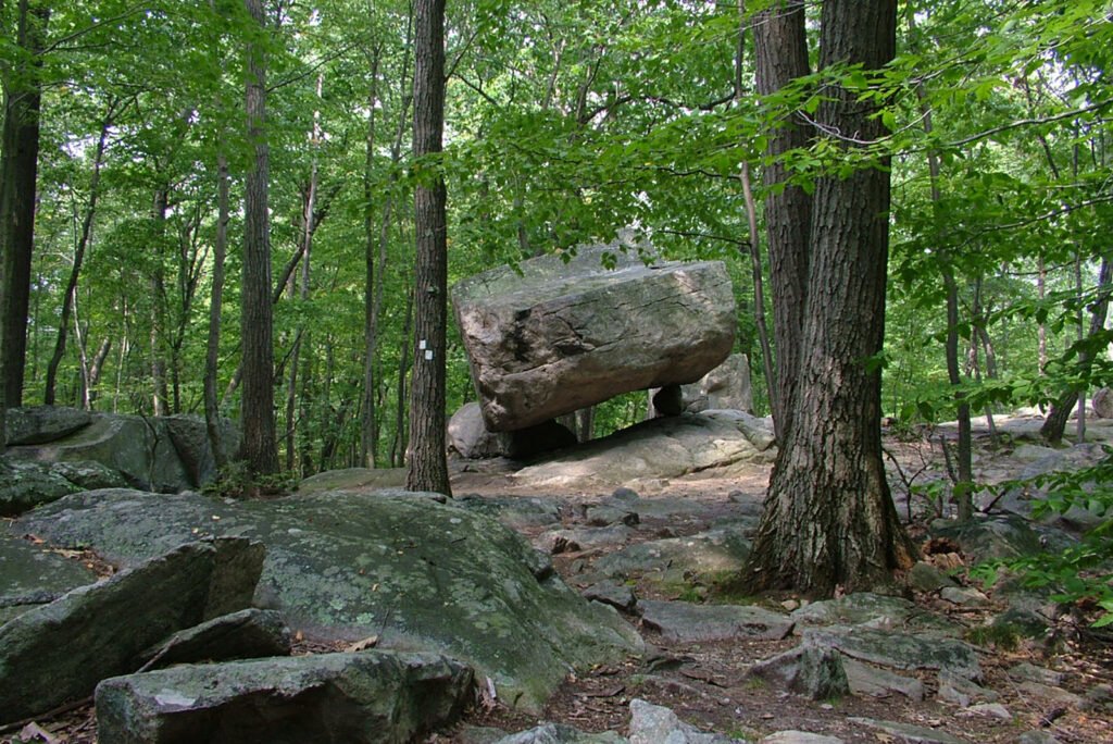 ParkPage_PMNHA_Header_1600