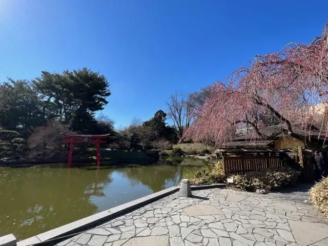 brooklyn-botanical-garden-japanese-garden-ii