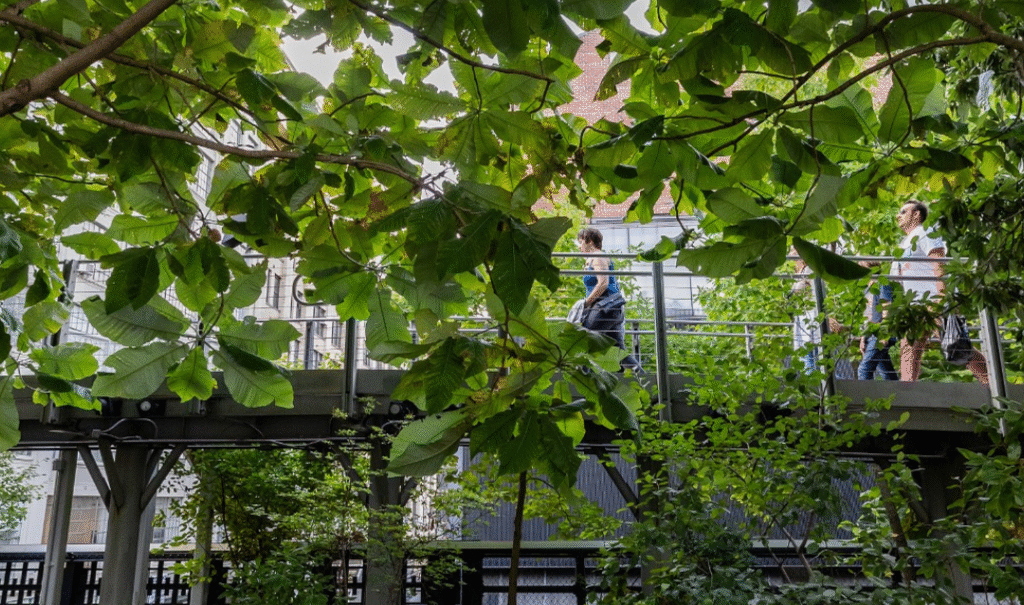 125_10_04_2024_MagazineSerenityNow_PhotosLizLigon-1-web