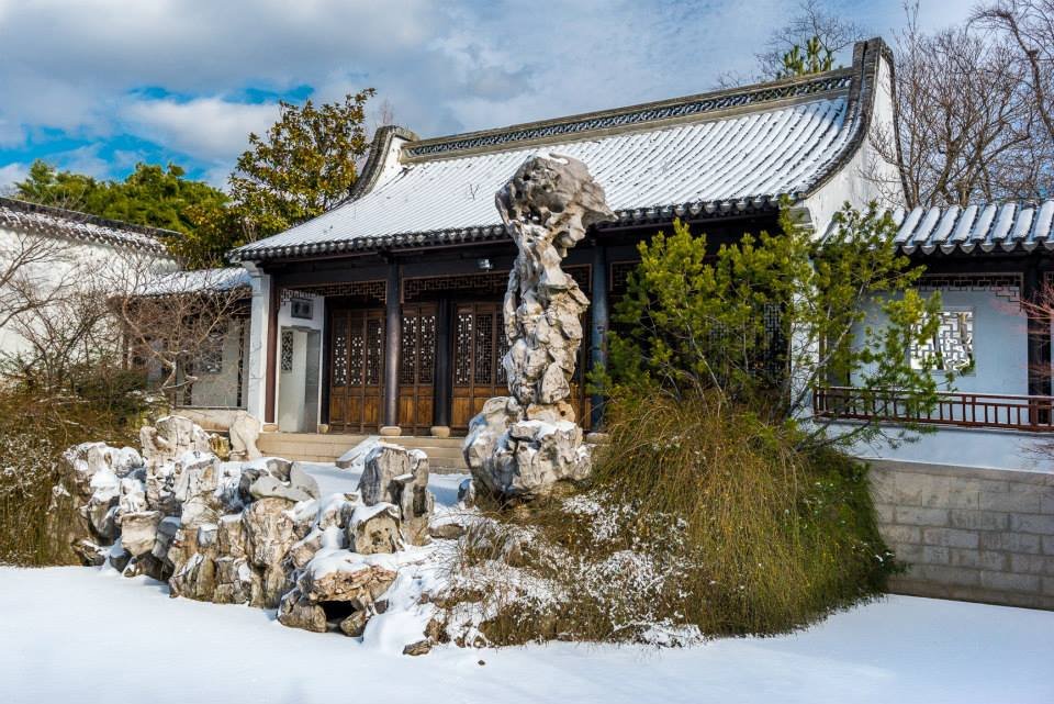 1461543_10152494042126626_5755682151153162409_n