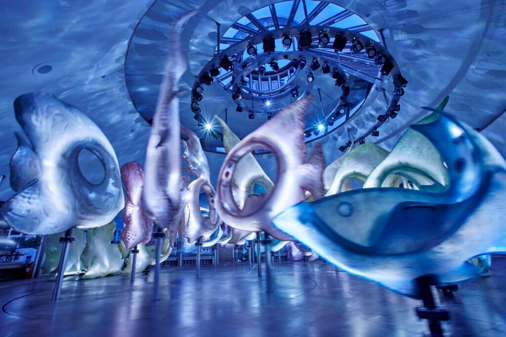 150819_SEA_CAROUSEL5843