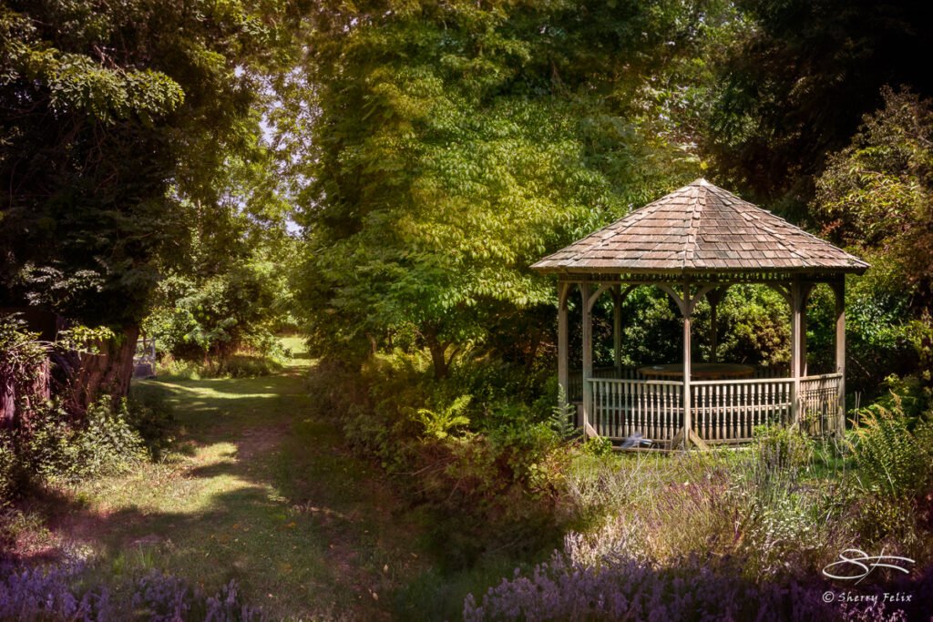 Sweetbriar Nature Center 7/22/2023