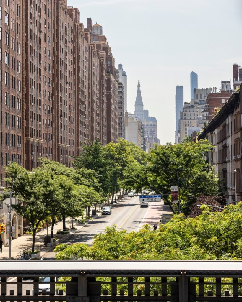 527989682_1201102788718443_1219607308969059959_n