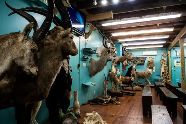 APPRAISAL2-articleLarge