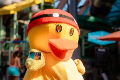 Summer-Season-Splash-Pass