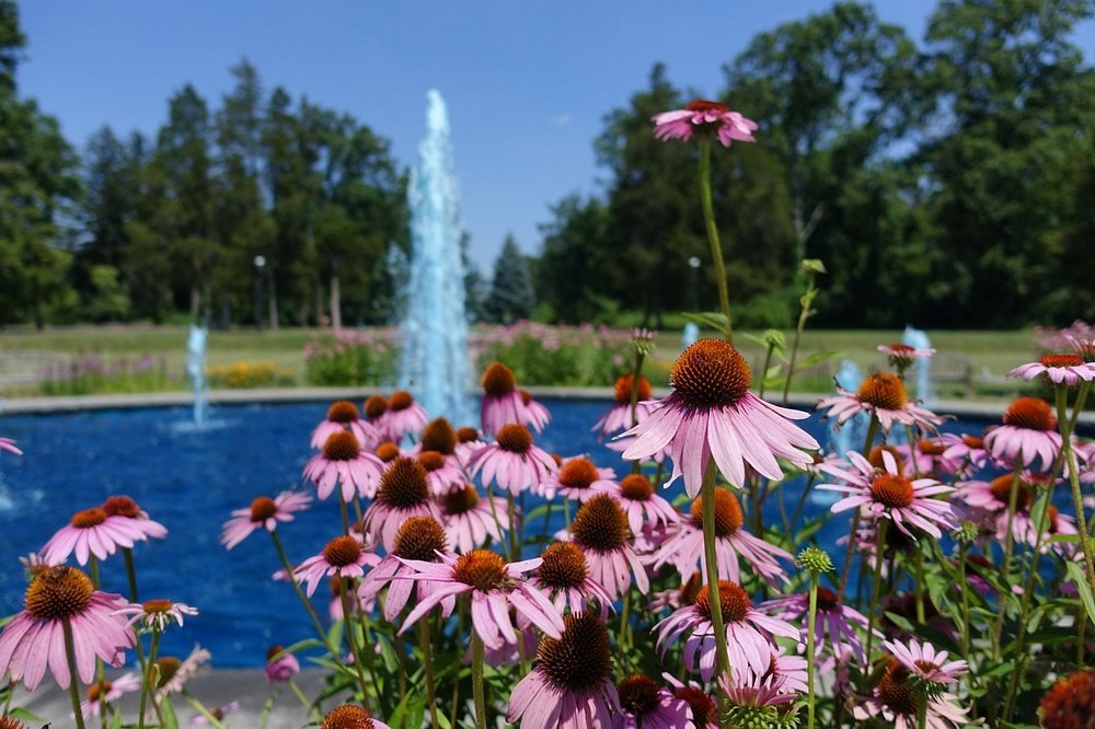 a-fountain-and-flowers.jpg