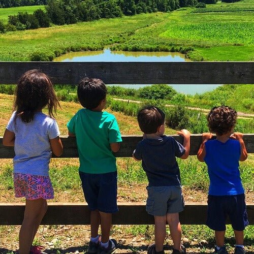 attractionsfishing_sPV0