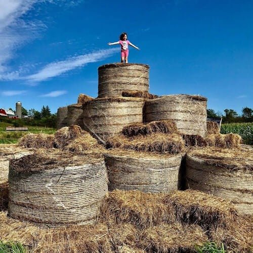 attractionshaymountain_Krfy