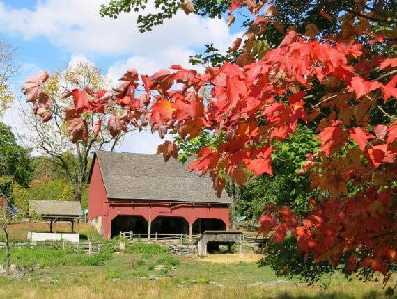 barn-in-the-fall-1.jpg