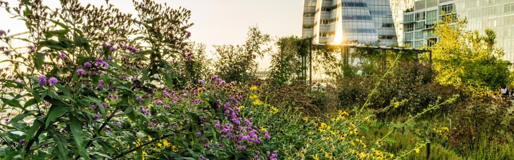 gardenzone_hero_miketschappat