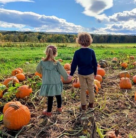 homefallfestival_2SfT