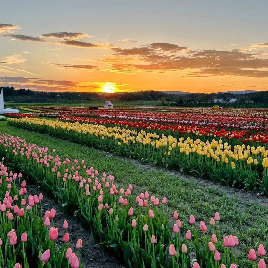 img-0832copy-edit_zGAo