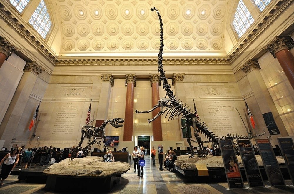 museumofnaturalhistory_museum_nyc