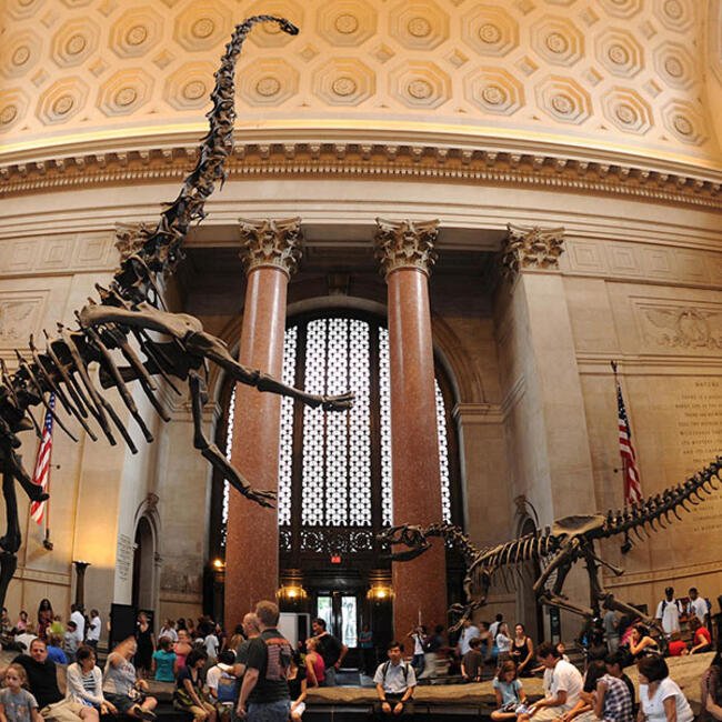 plan-your-visit_square_650