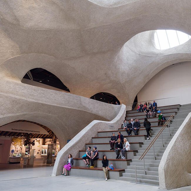 richard-gilder-center-for-science-education-and-innovation_square_650