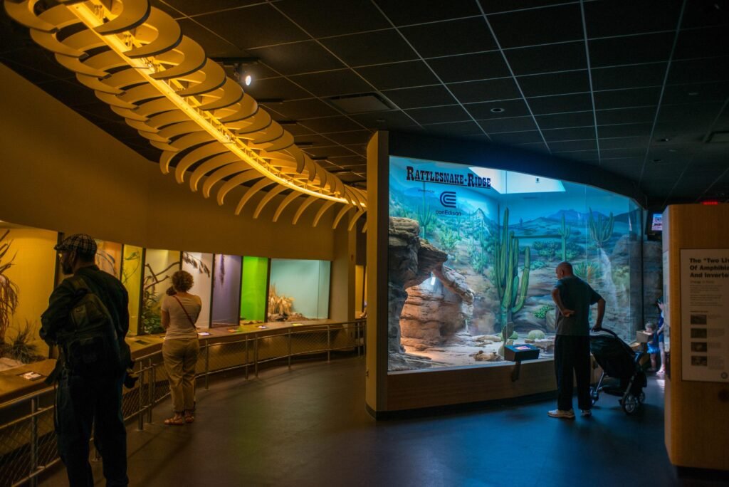 staten-island-zoo-julienne-schaer-0571_63599660-e8aa-e472-724e2ea9e064e039