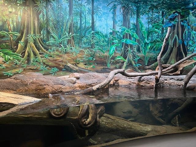 staten-island-zoo-reptiles-snakes